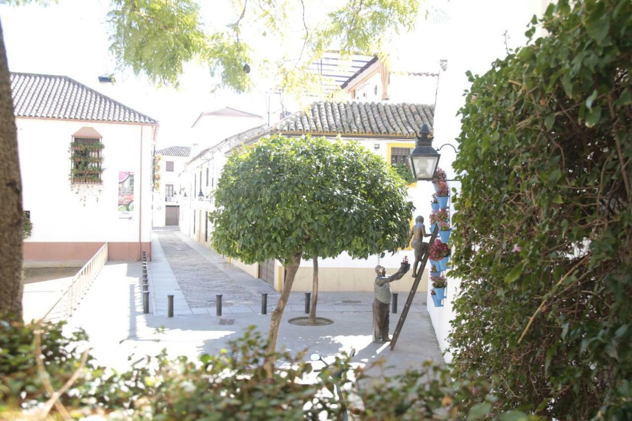 Tejares Del Alcazar Córdoba