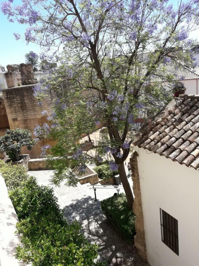 Tejares Del Alcazar Apartment *