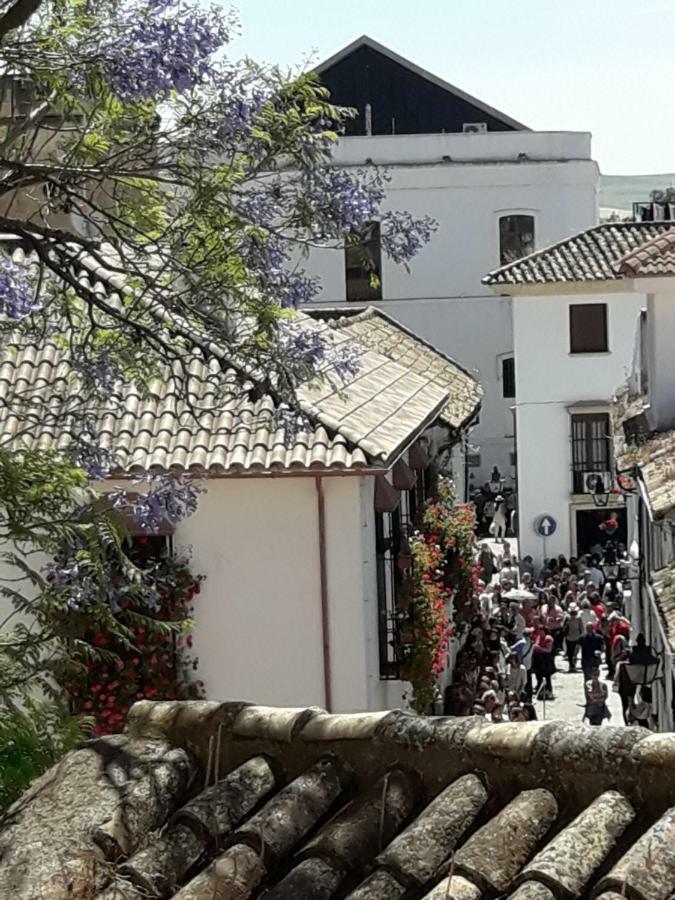 Tejares Del Alcazar
