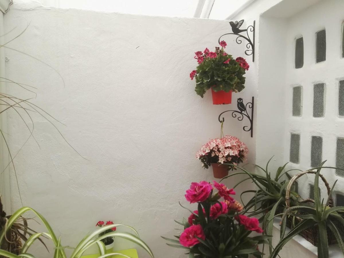 La Flor De Mayo Apartamento Córdoba