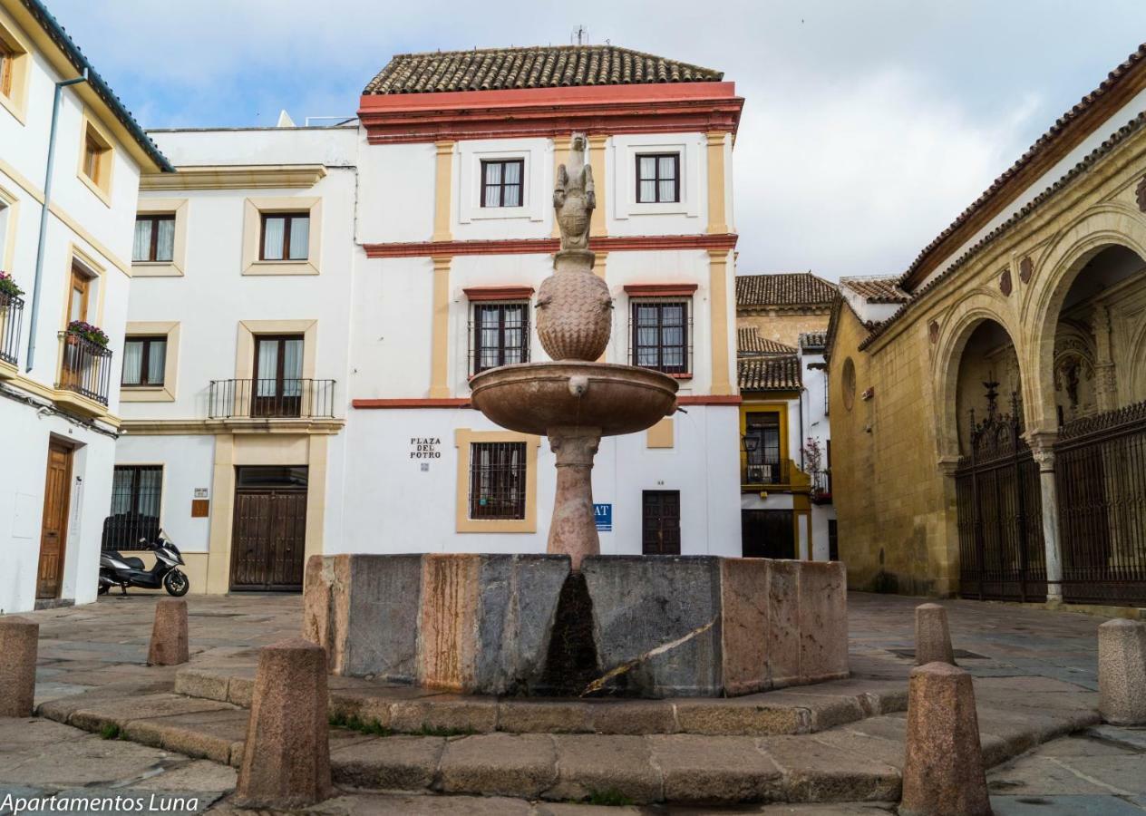 Apartamento Viviendas Turísticas La Luna Atico *