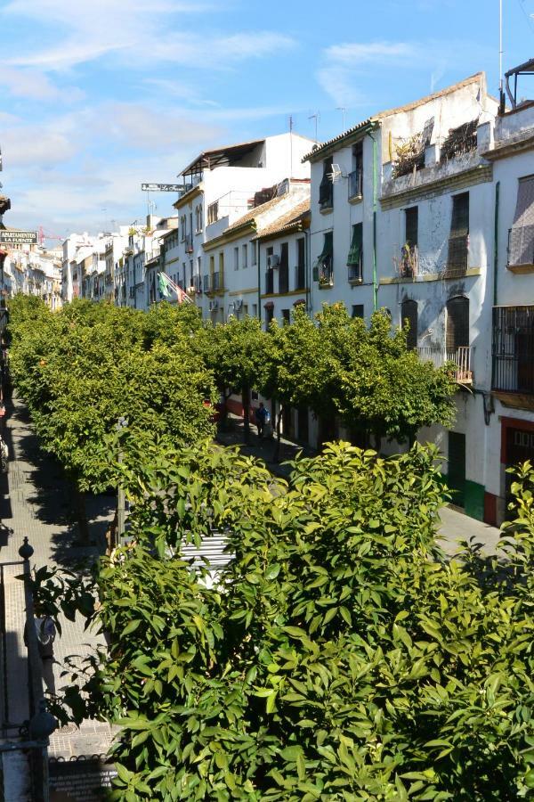 Casa Del Portillo-centro Historico Holiday home