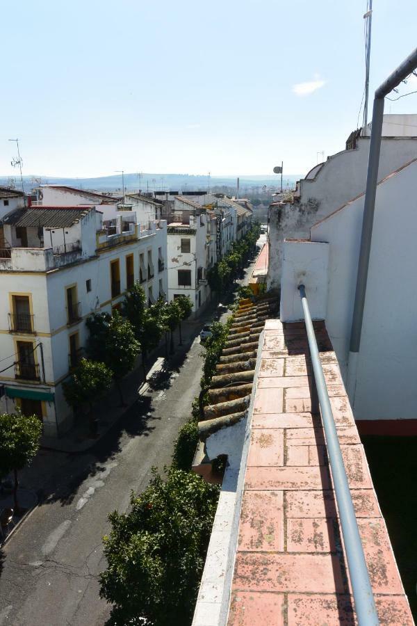 Casa Del Portillo-centro Historico Holiday home Cordoba