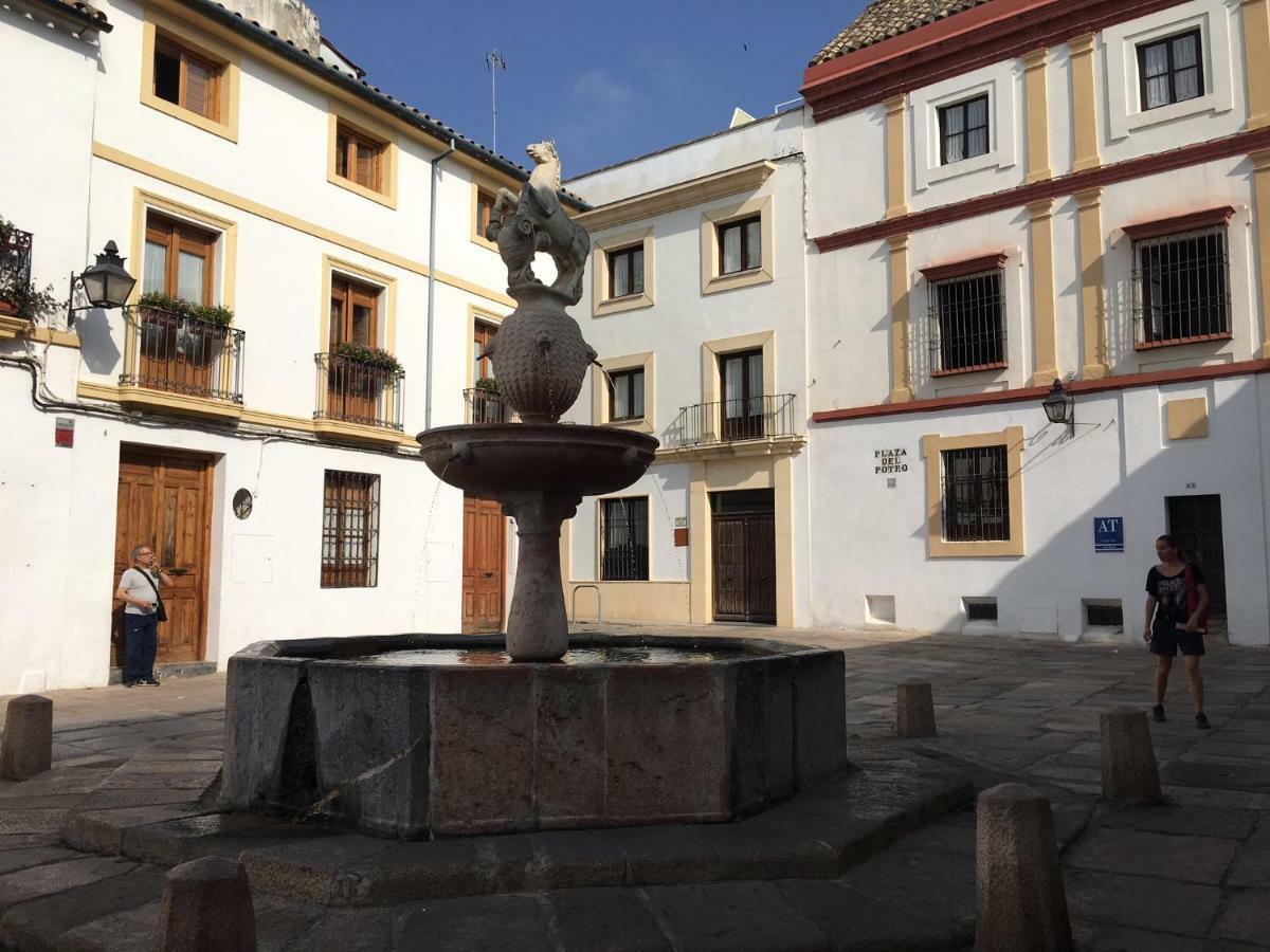 Pensión Patio De Lineros Córdoba