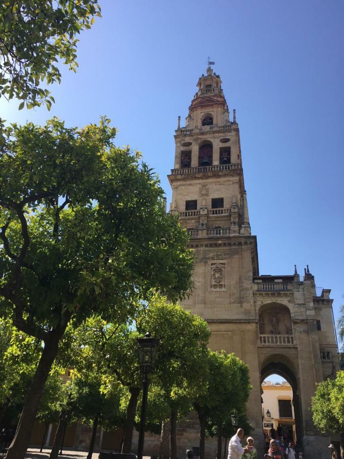 Patio De Lineros * Córdoba