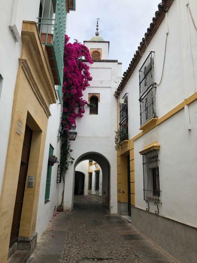 Apartamento El 5 De La Hoguera *