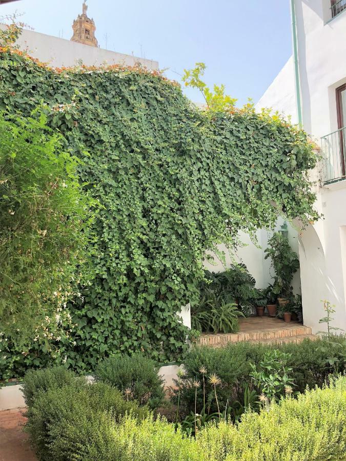Apartamento El 5 De La Hoguera *