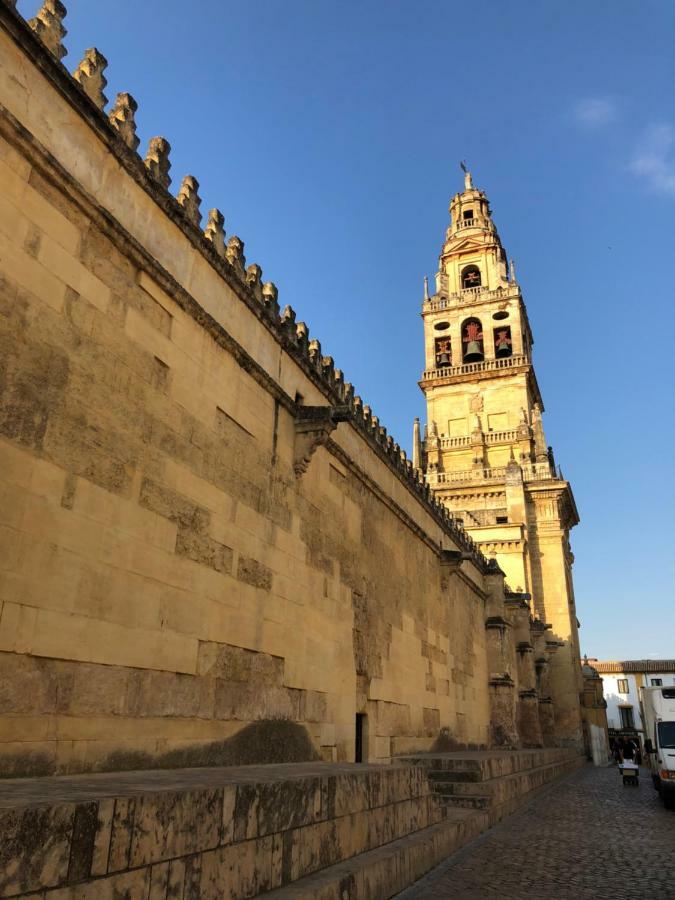 El 5 De La Hoguera Apartamento