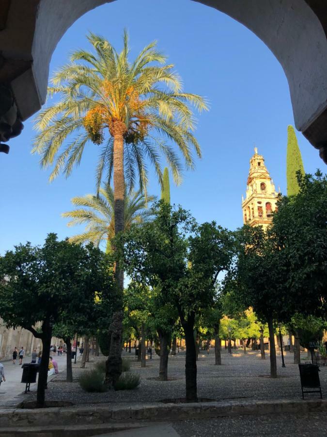 El 5 De La Hoguera Apartamento Córdoba