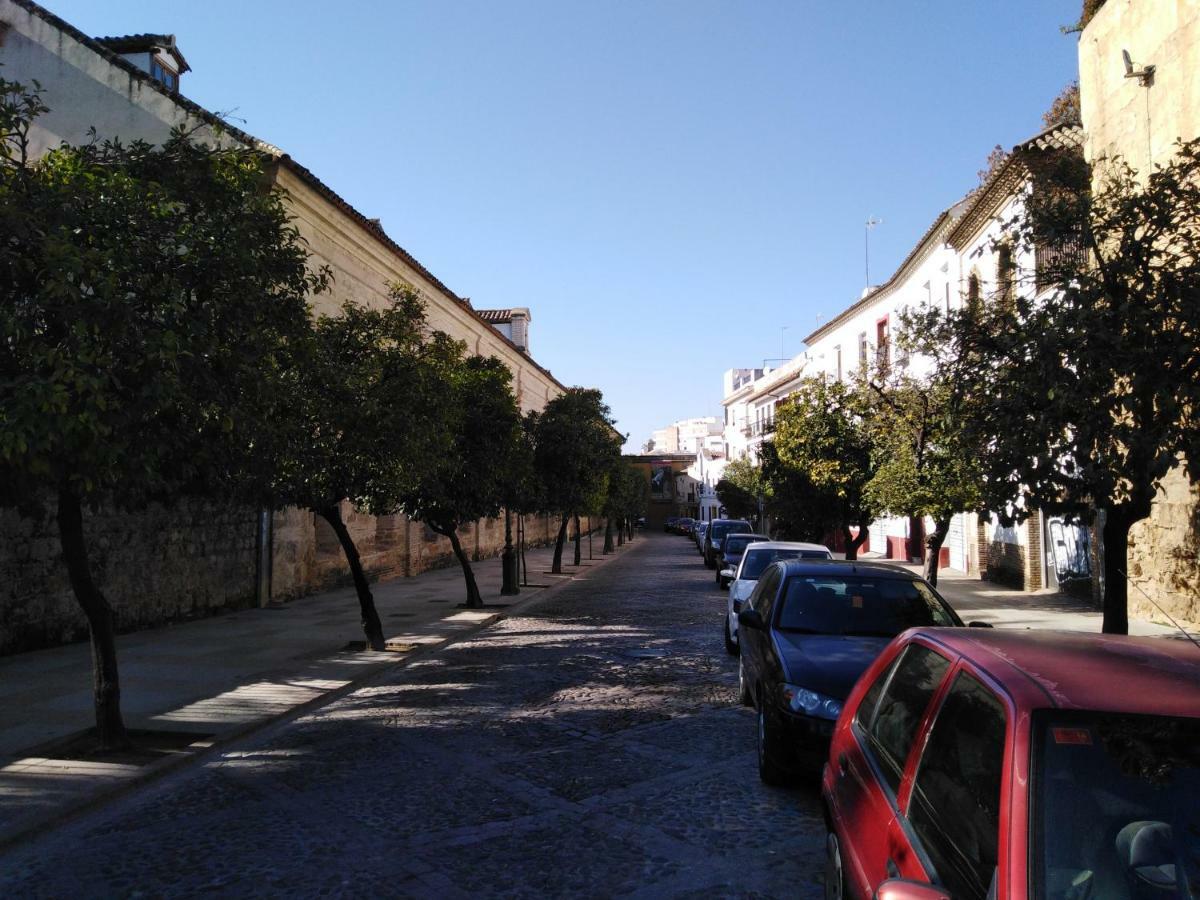 Apartamento Casas Caballerizas Mezquita 1 Y 3 Hab Córdoba