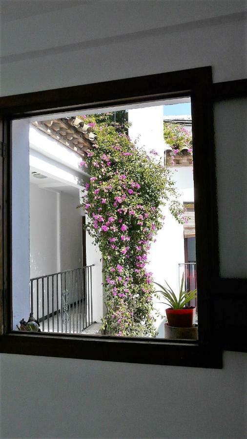 Deanes 5 Apartamento Lola5 Apartamento *