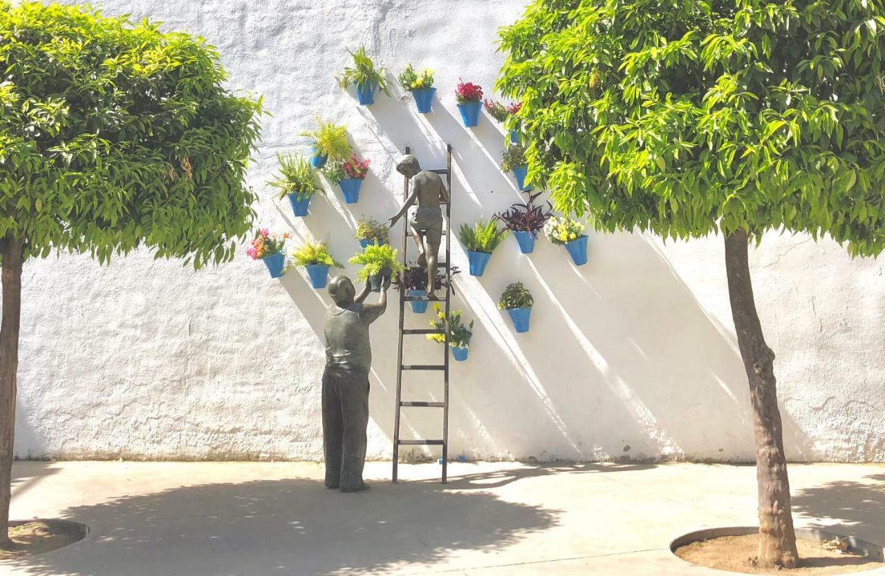 El Encanto De Apartamento