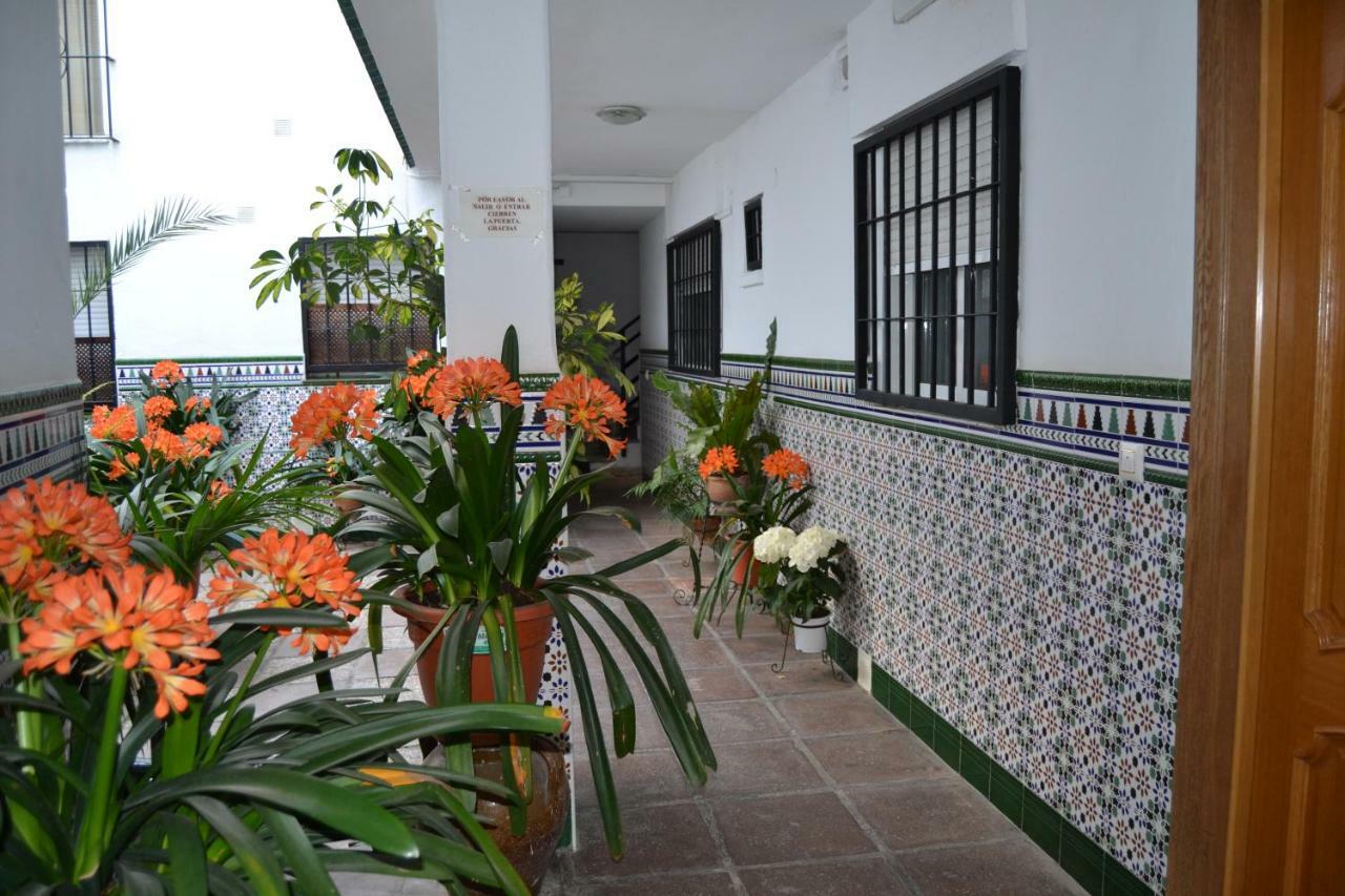 Nuevo Sueno Del Alcazar * Cordoba