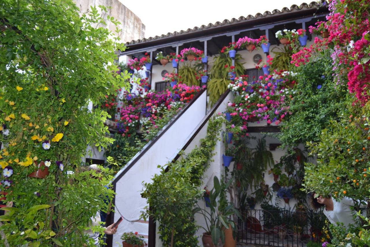 Nuevo Sueno Del Alcazar Apartment