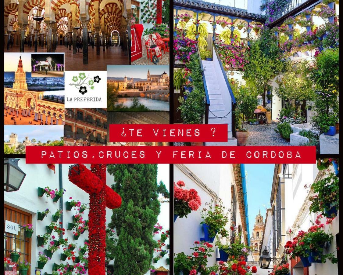 Centro Histórico Mezquita Judería La Preferida *