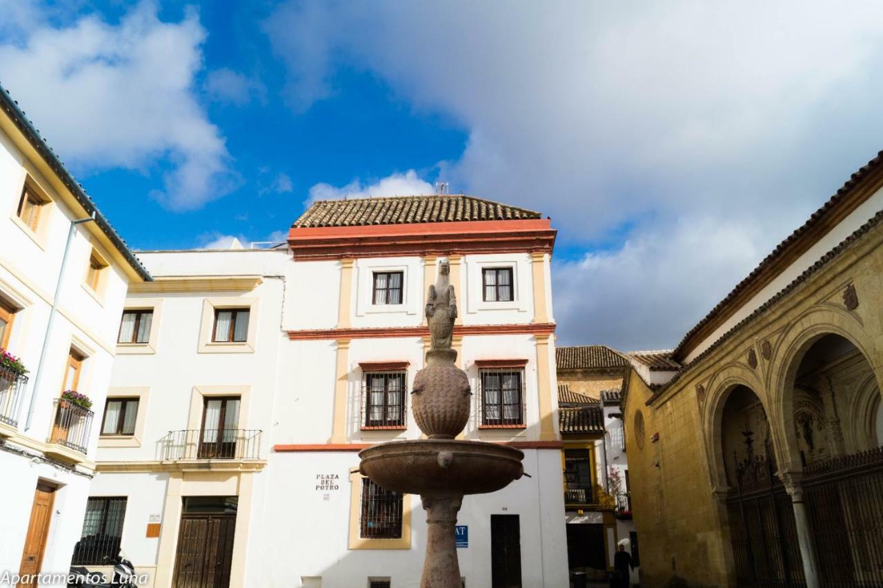 Viviendas Turisticas La Luna 2 Córdoba