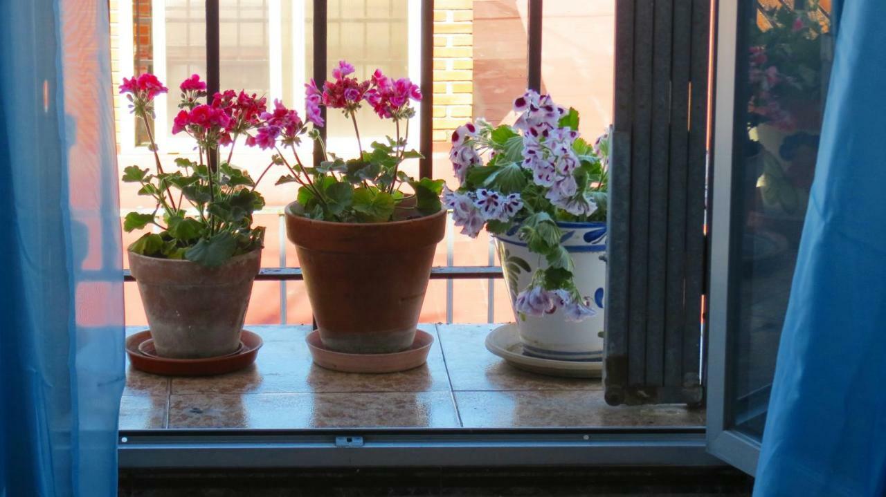 Apartment Patios De San Pedro