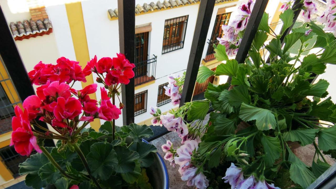 Patios De San Pedro *
