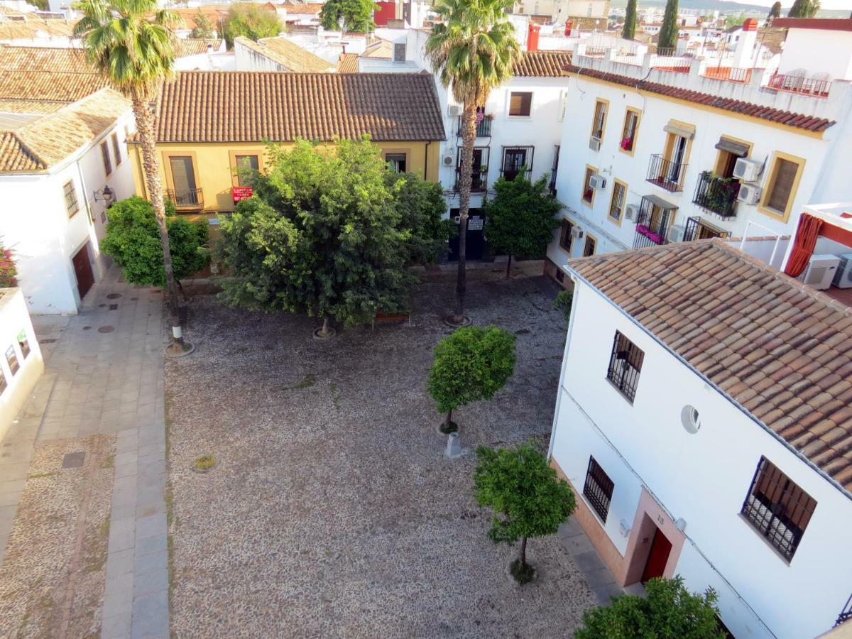 Patios De San Pedro *