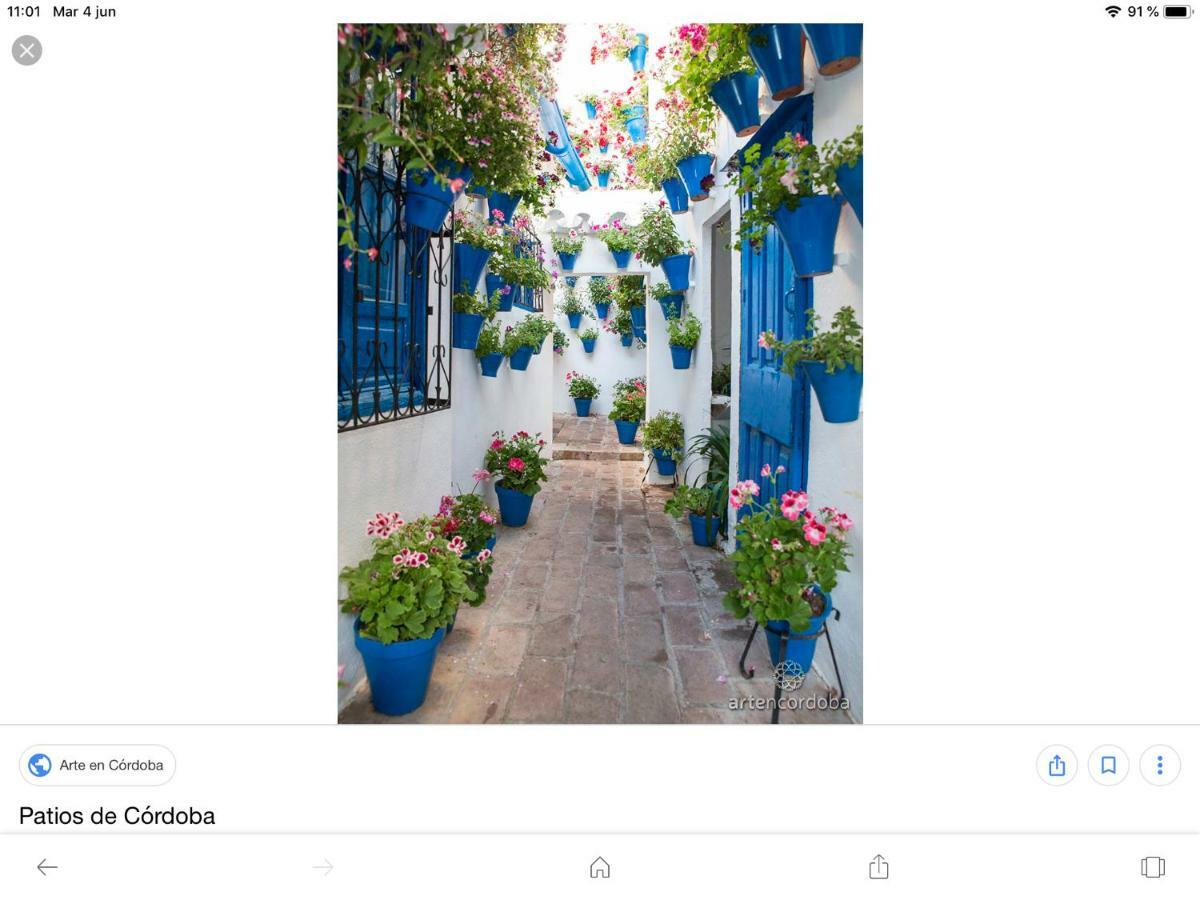 Apartamento Flor De Naranjo
