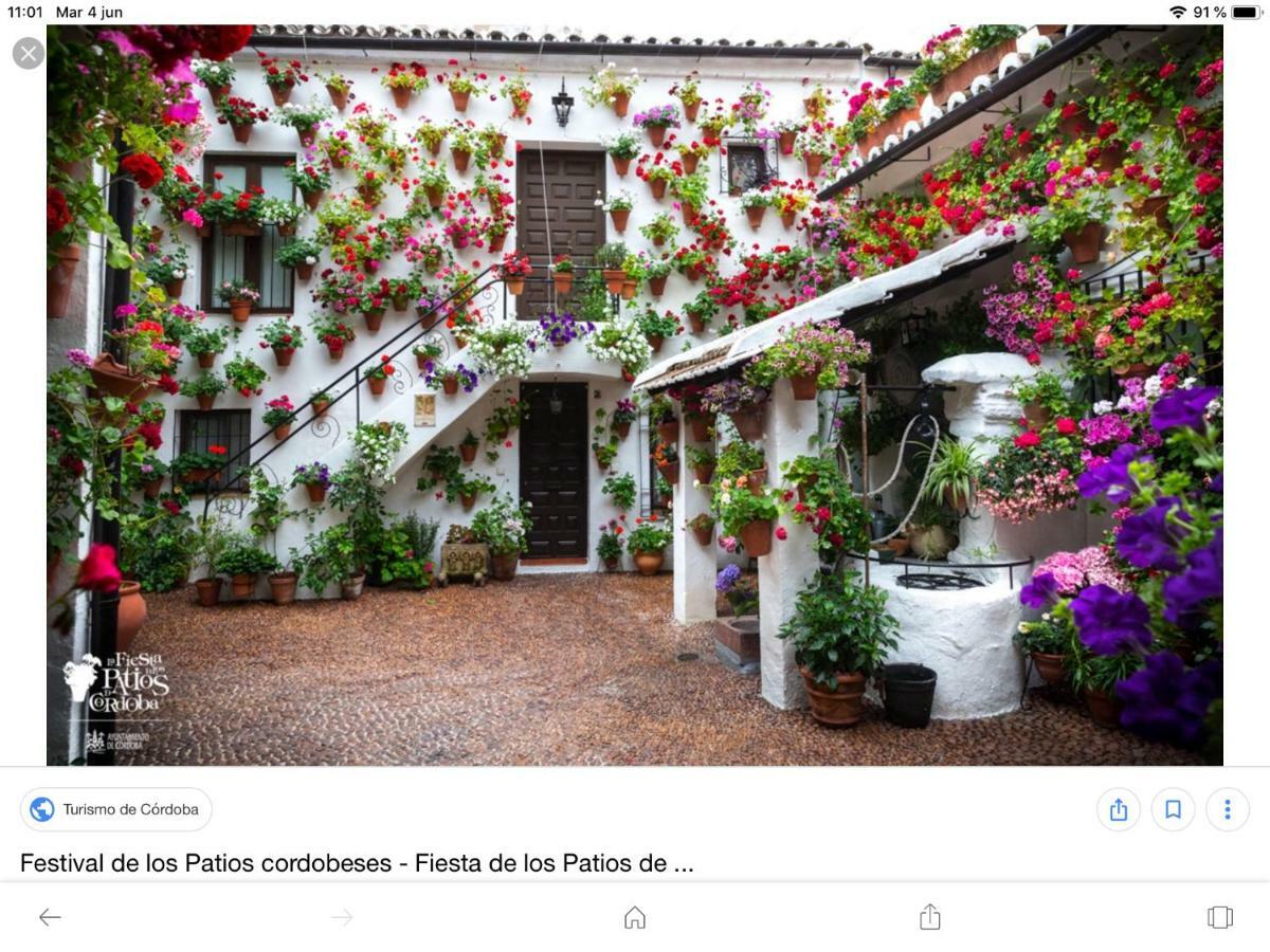 Apartamento Flor De Naranjo Córdoba