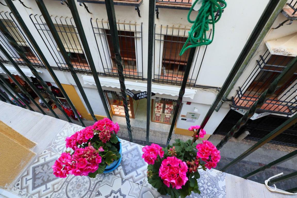 Mezquita Judería Apartamento