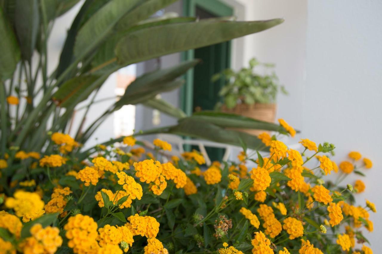 Thegood Brillante Piscina Y Parking Incluido Apartamento Córdoba