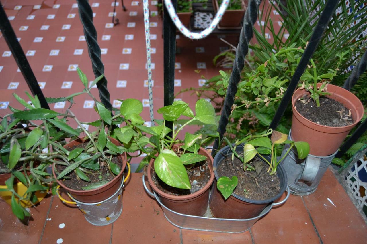 Apartamento Mezquita