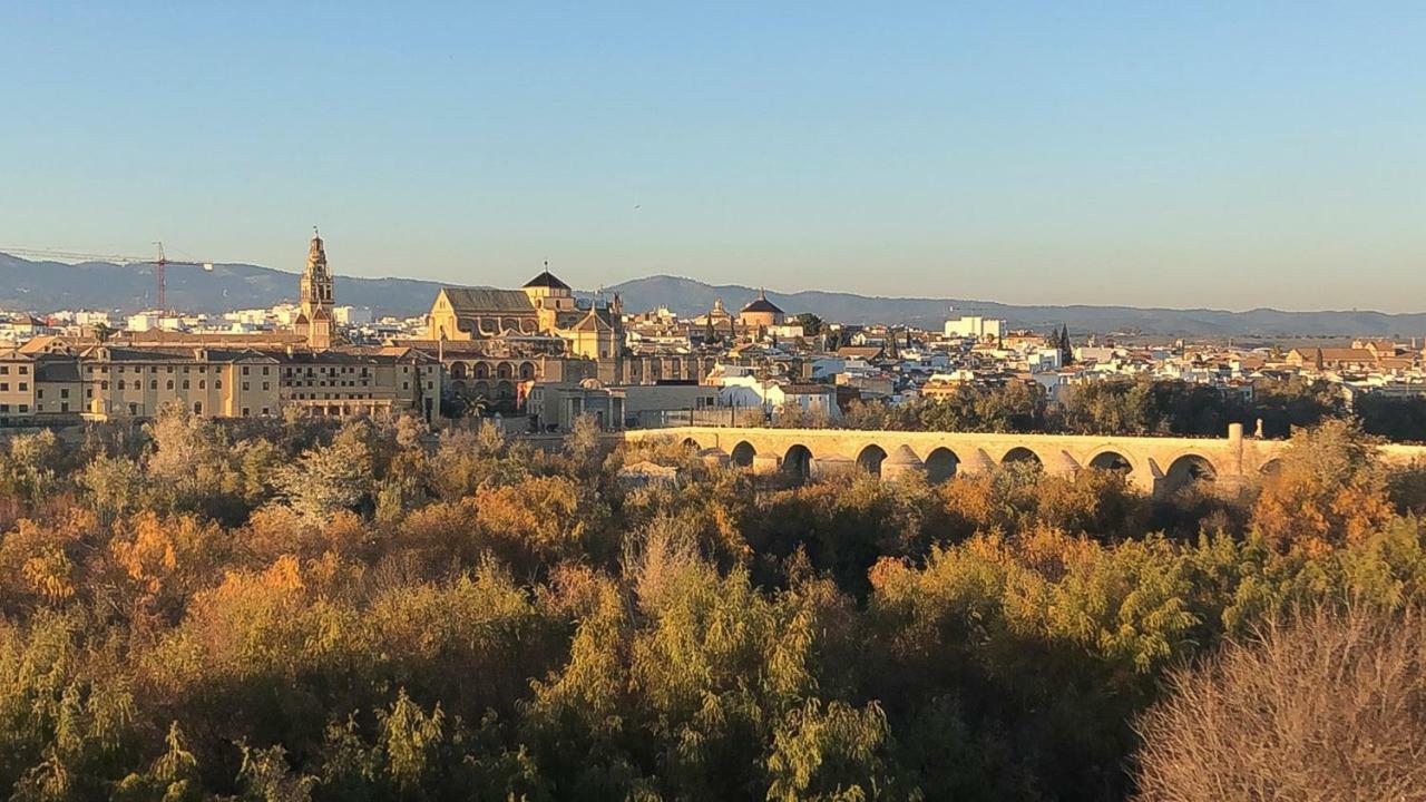 El Mirador De La Mezquita-catedral