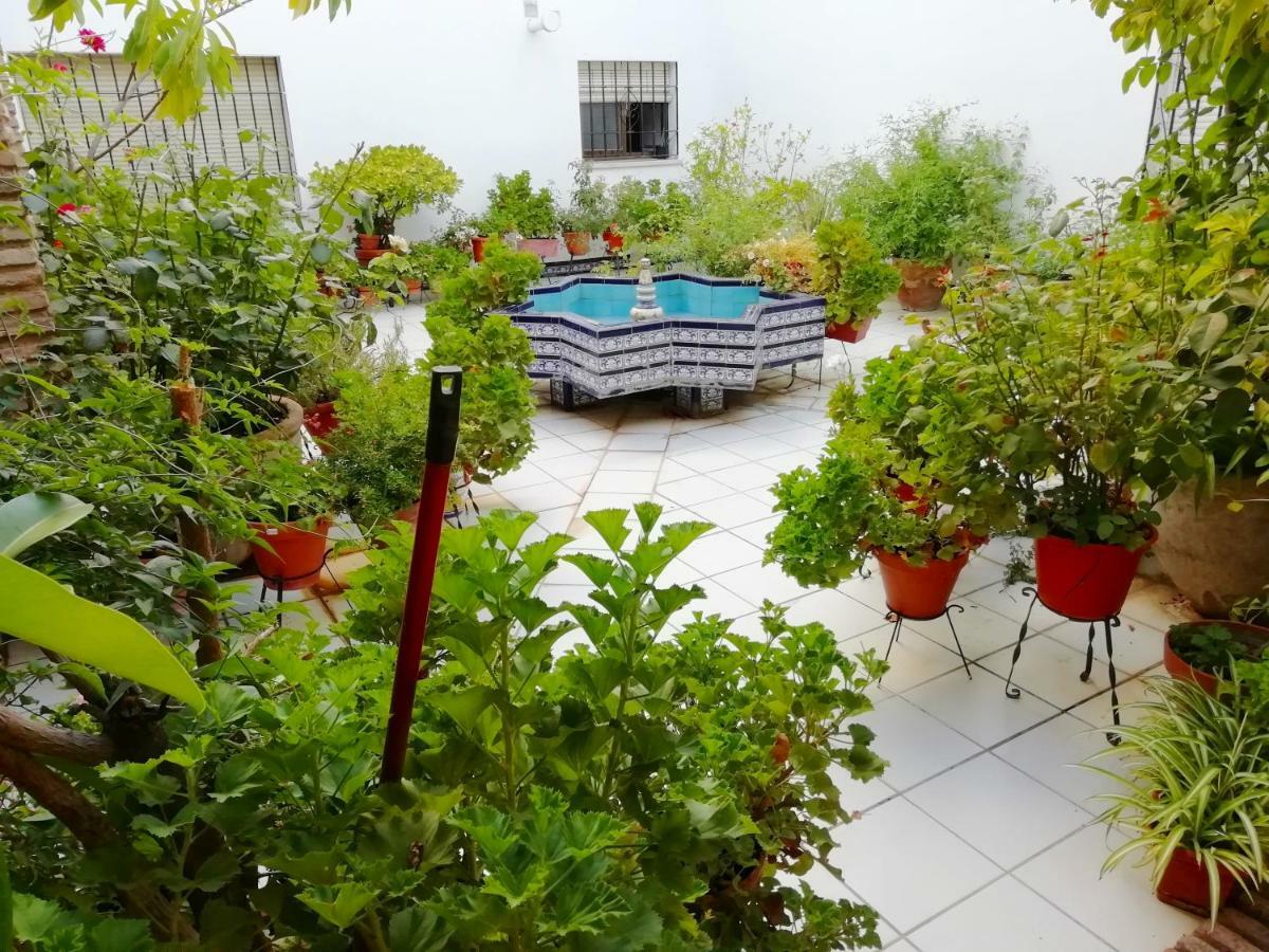 Patios De San Rafael