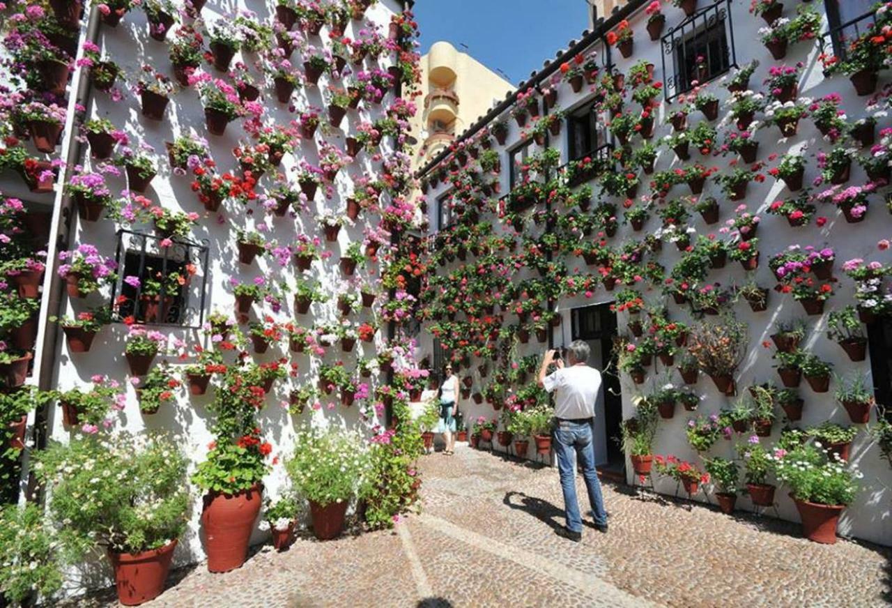 Apartamento Centrum Con Parking *
