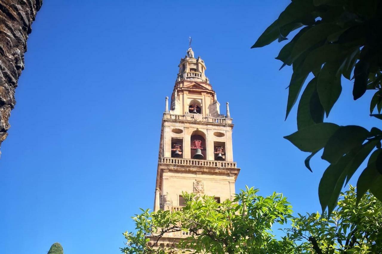 Apartamento Apartamento Laura. Estancia Agradable En *