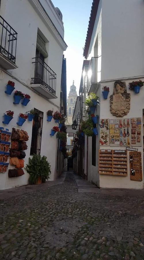 Centro Apartamento *