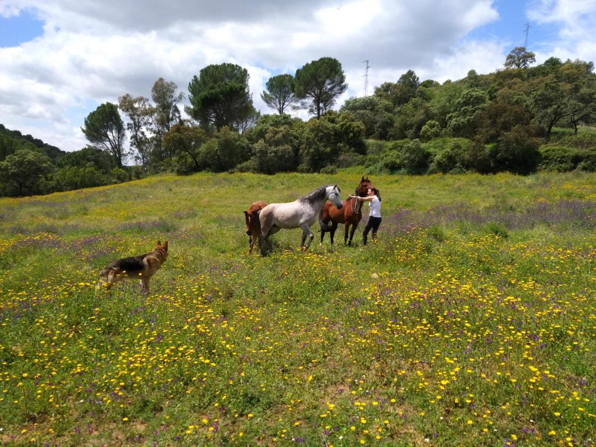 Solanas Del Pilar Casa rural *