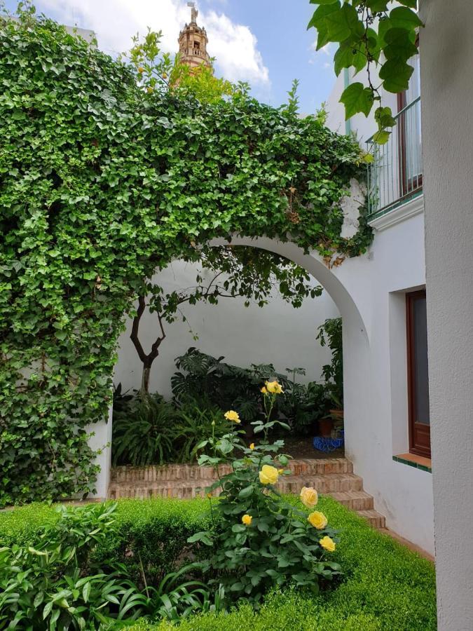 Apartamento Entre 2 Mezquitas Córdoba