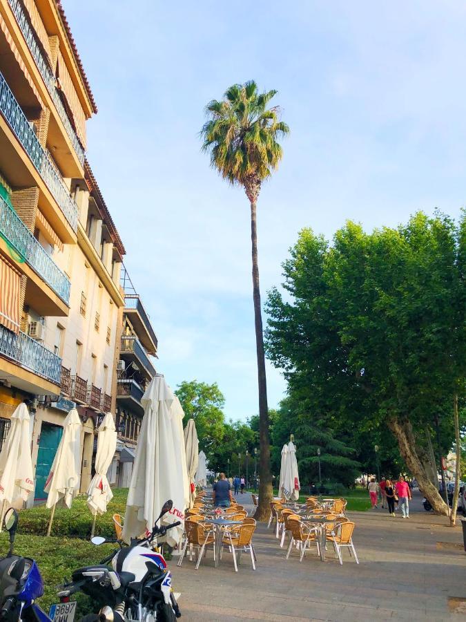 Apartamento Paseo De La Victoria
