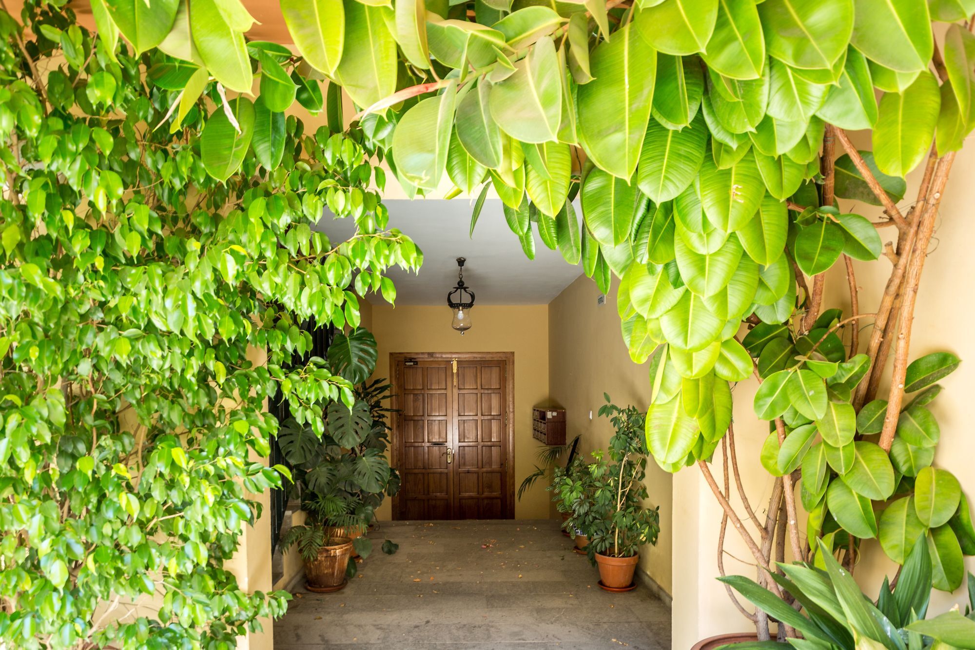 Apartamento Amparo Cinco Córdoba
