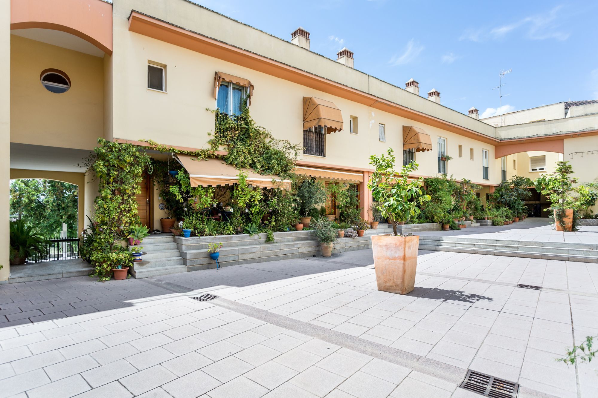 Apartamento Amparo Cinco *
