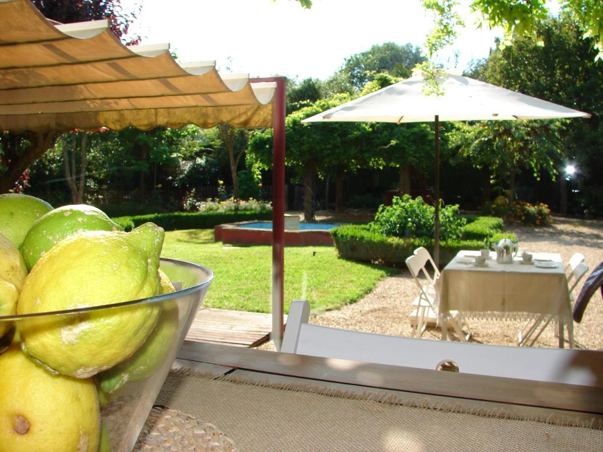 Casa Con Encanto Y Jardin