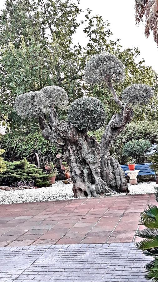 Casa Con Encanto Y Jardin *