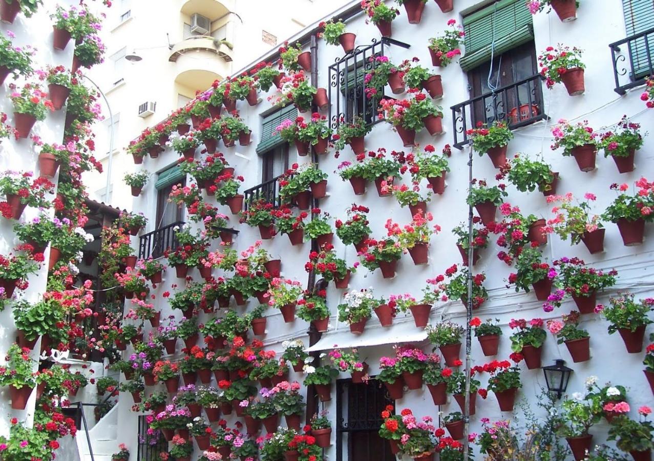 Apartamento Apartaluz Centro Arqueologico Balcon Córdoba