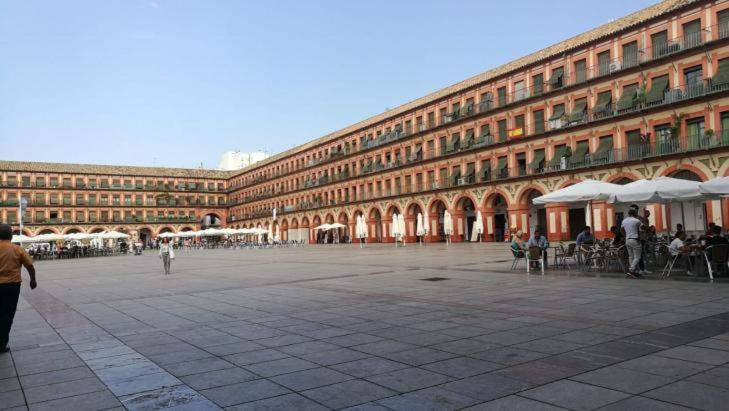 Apartamento Gran Capitan, 9