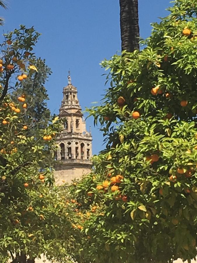 La Condesa De Vallellano Cordoba