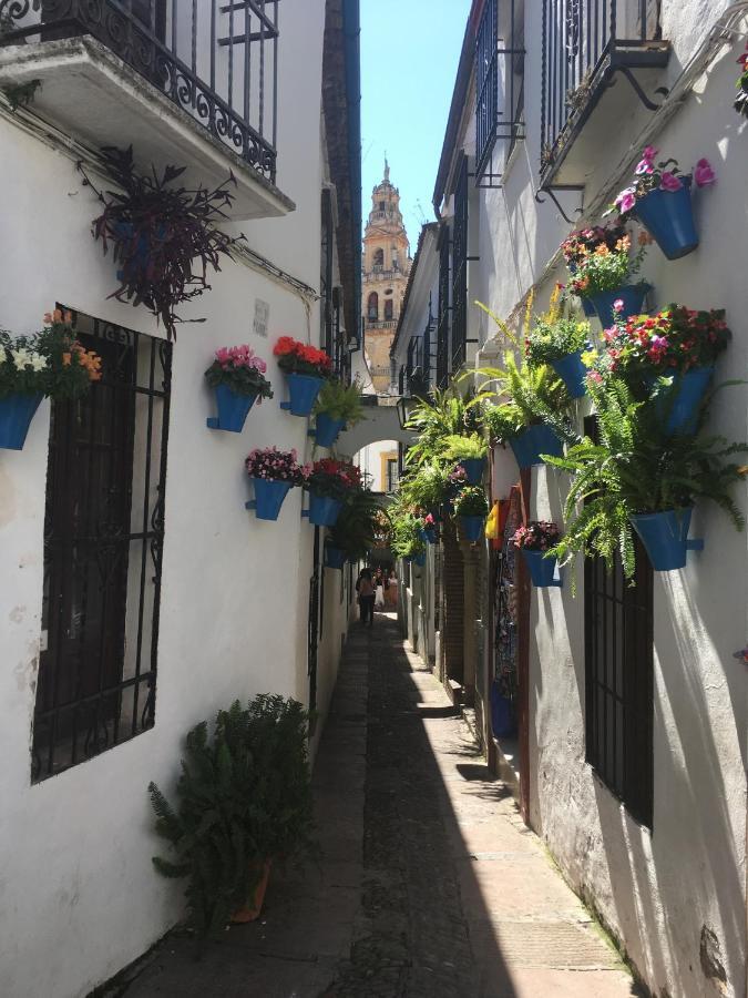 La Condesa De Vallellano