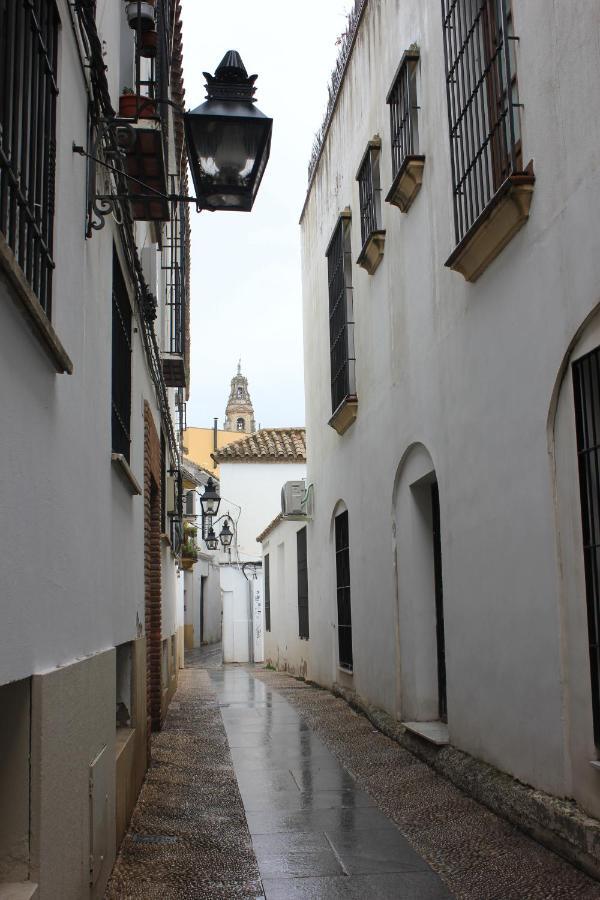 Loft Turistico En Casco Historico, Wifi Y Tv Satelite Gratis Cordoba