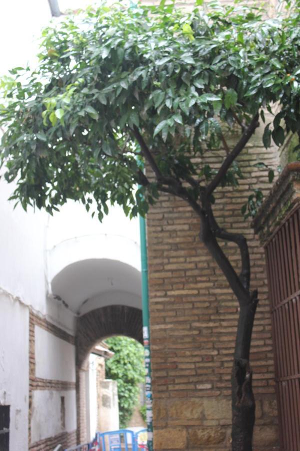 Loft Turistico En Casco Historico, Wifi Y Tv Satelite Gratis Apartment