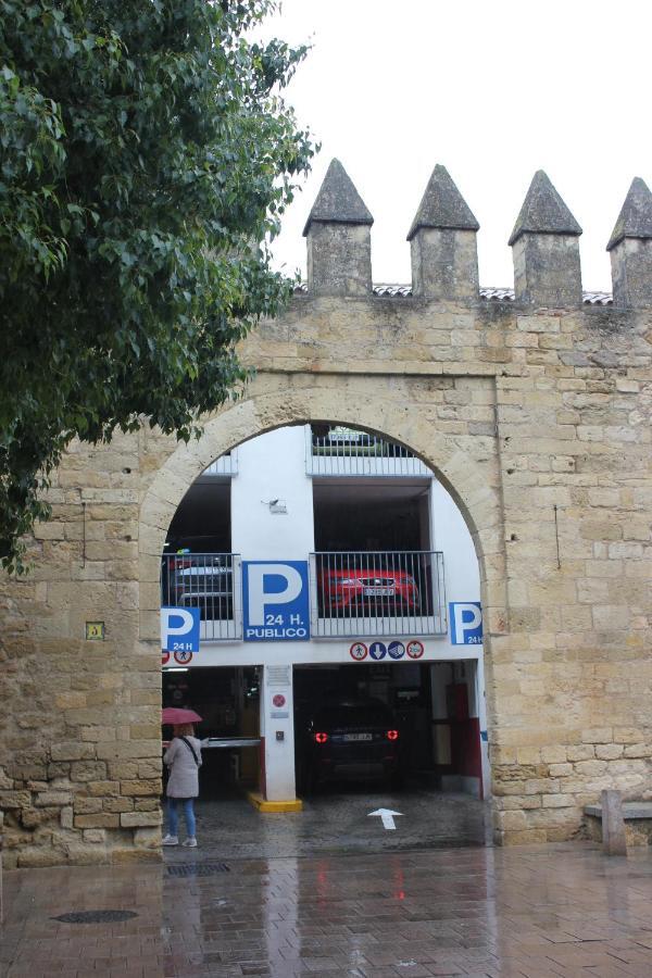 Loft Turistico En Casco Historico, Wifi Y Tv Satelite Gratis *