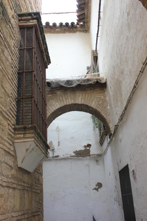 Loft Turistico En Casco Historico, Wifi Y Tv Satelite Gratis *