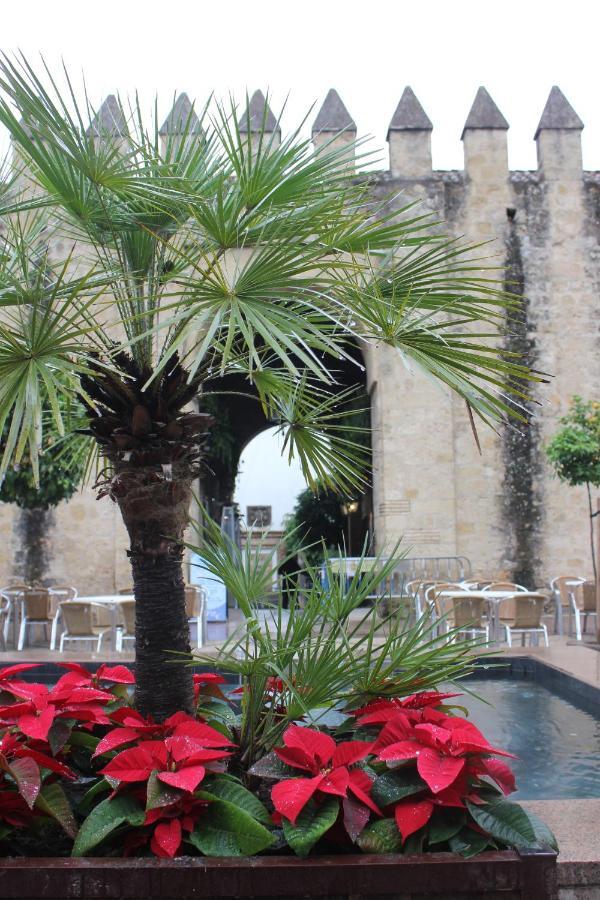 Apartment Loft Turistico En Casco Historico, Wifi Y Tv Satelite Gratis *