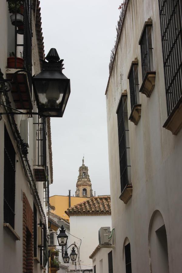 Loft Turistico En Casco Historico, Wifi Y Tv Satelite Gratis *